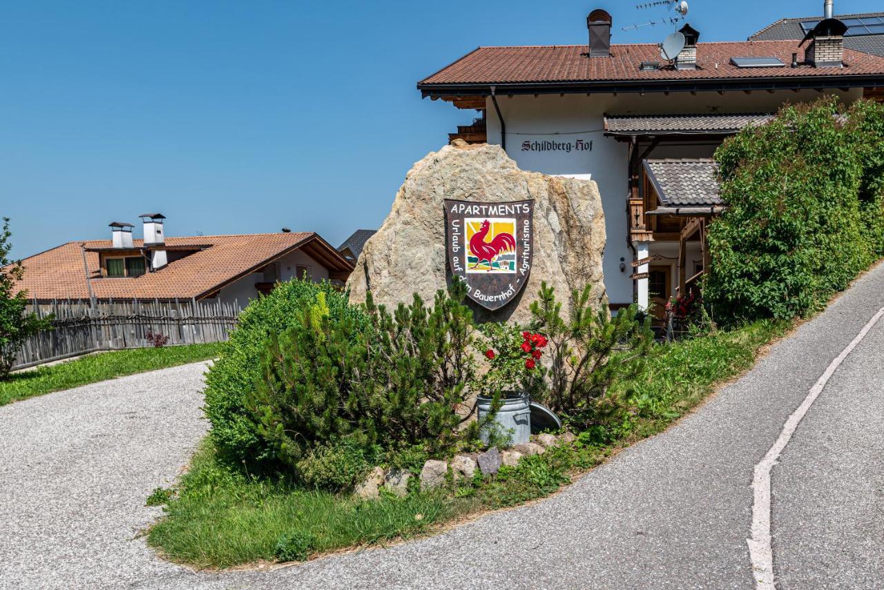 Апартаменты Schildberghof Panorama Сьюзи Экстерьер фото